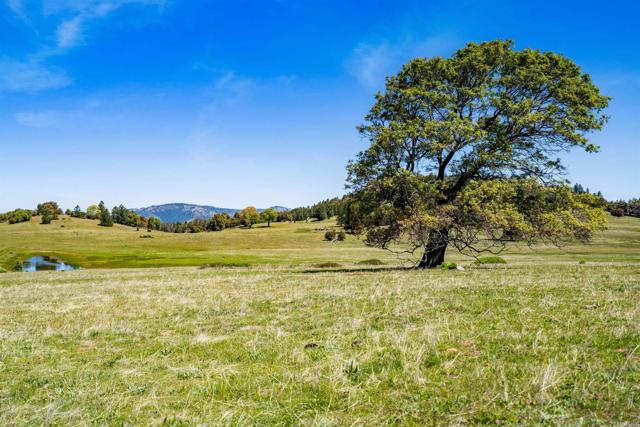 3510 Deer Lake Park Road, Julian CA: https://media.crmls.org/mediaz/22751d66-7e38-4052-8dec-63c9ae413a9d.jpg