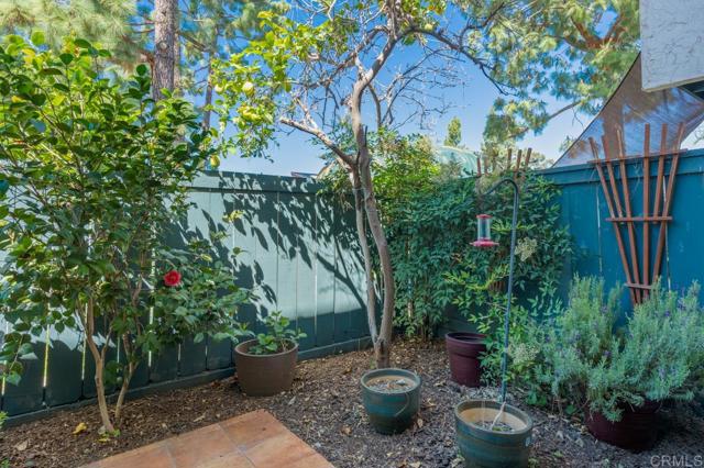 Image 33 of 75 For 6960 Caminito Curva