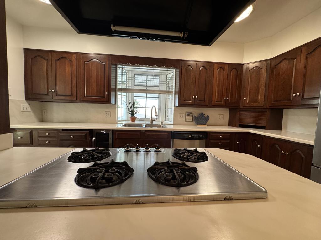 MLS #219139168DA image #4