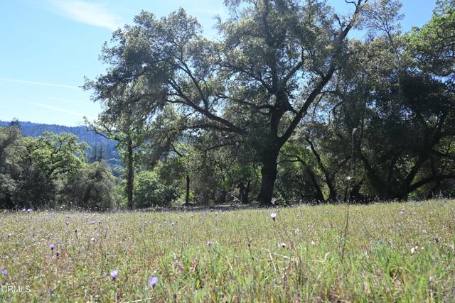 Detail Gallery Image 24 of 59 For 24051 Fig Tree Ln, Yorkville,  CA 95494 - – Beds | – Baths