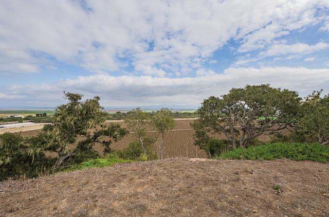 905 W Blanco Road, Salinas CA: https://media.crmls.org/mediaz/2296705c-254f-4323-91cf-18589f492330.jpg