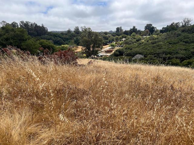 3230 Hillman Lane, Royal Oaks CA: https://media.crmls.org/mediaz/22b21648-c405-4951-ad94-776319d42019.jpg