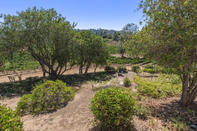 2839 Lakemont Drive, Fallbrook CA: https://media.crmls.org/mediaz/22b31816-cd52-44db-85ba-2d63d99488cb.jpg