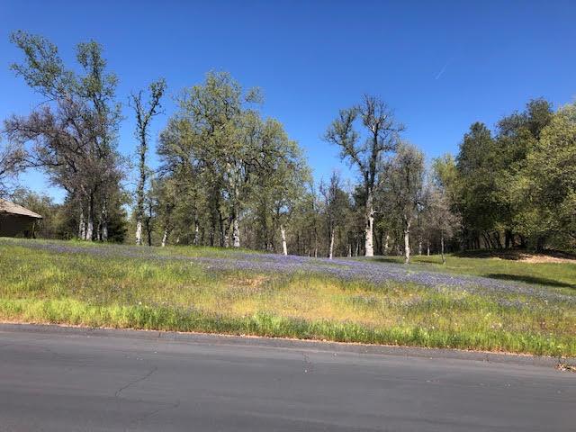19410 Palermo Court, Redding, CA 96003