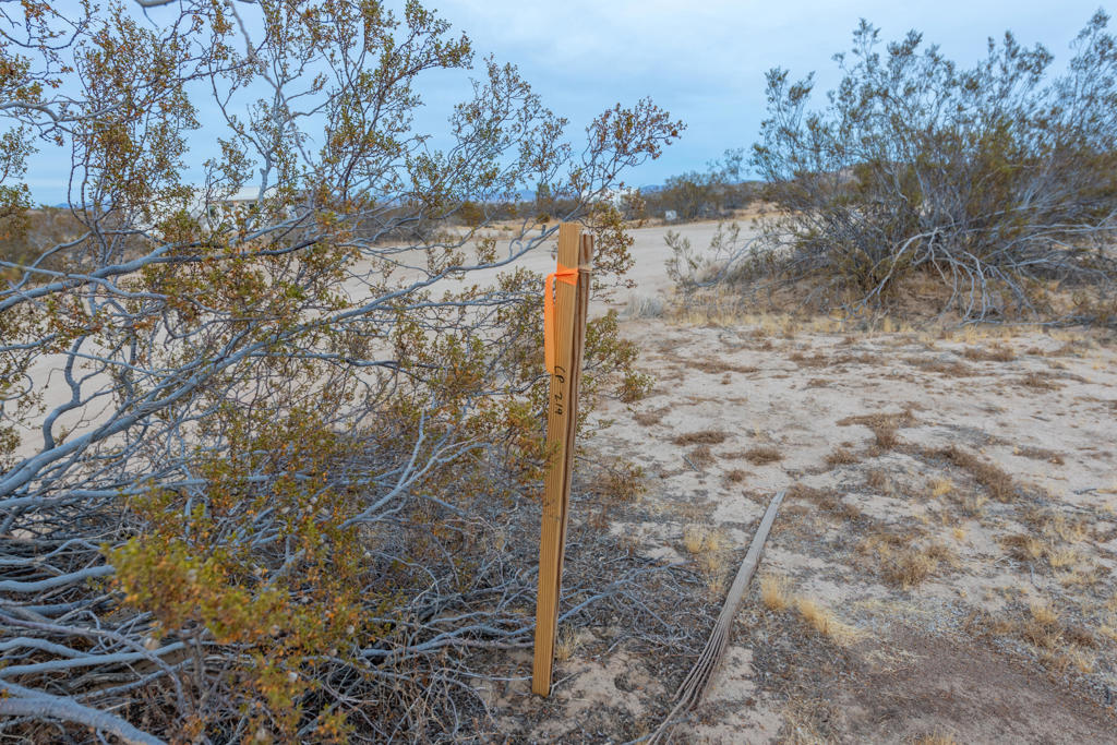 MLS #219130216DA image #1