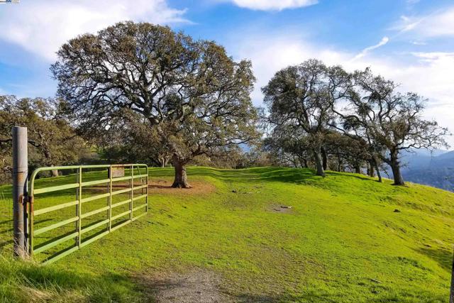 3300 Bragdon Way, Clayton CA: https://media.crmls.org/mediaz/22c47fa8-6292-4071-8a0a-dd2d29b537e6.jpg