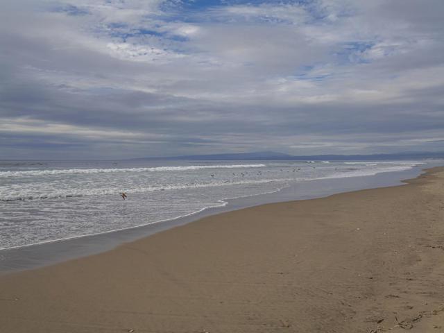 101 Shell Drive, La Selva Beach CA: https://media.crmls.org/mediaz/22c68eef-7240-4f7a-9d2a-18aa0677c297.jpg