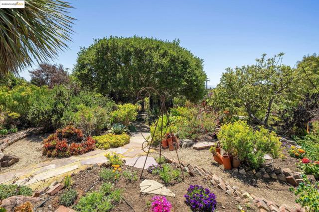 917 Avis Dr, El Cerrito CA: https://media.crmls.org/mediaz/22f50e57-c911-4837-adf4-d7f91dfcf3bf.jpg