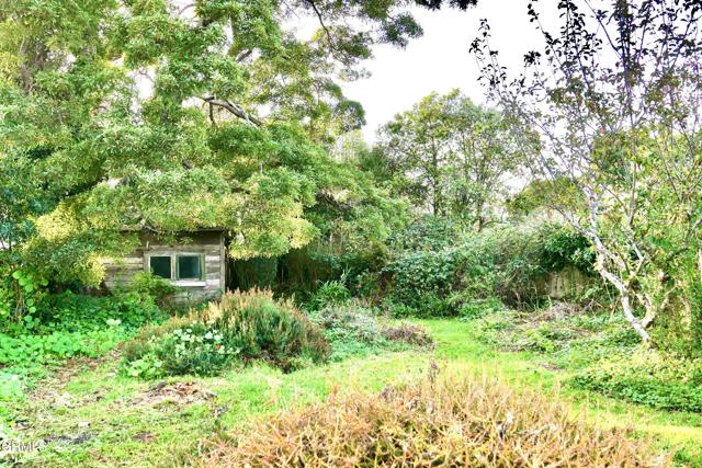 Detail Gallery Image 5 of 29 For 137 Olsen Ln, Fort Bragg,  CA 95437 - 2 Beds | 1 Baths