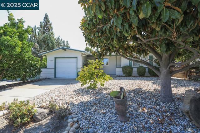2465 Buena Vista Ave, Walnut Creek CA: https://media.crmls.org/mediaz/23055d9b-7353-4dab-8c07-9a94db63fae8.jpg