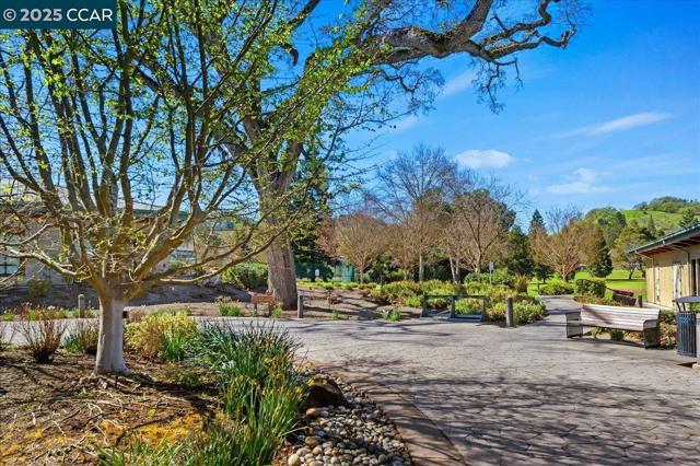 3711 Terra Granada, Walnut Creek CA: https://media.crmls.org/mediaz/23086e6f-ffa9-46af-b60f-d572b9b62c05.jpg