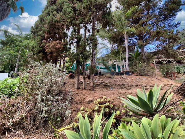 2120 Pine Street, San Diego CA: https://media.crmls.org/mediaz/230f8fe5-add4-4080-85c0-173231c4f12c.jpg
