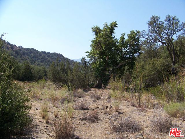 0 Apn 147-080-005, New Cuyama CA: https://media.crmls.org/mediaz/23172097-cffa-4573-9ee9-82f30ca38616.jpg