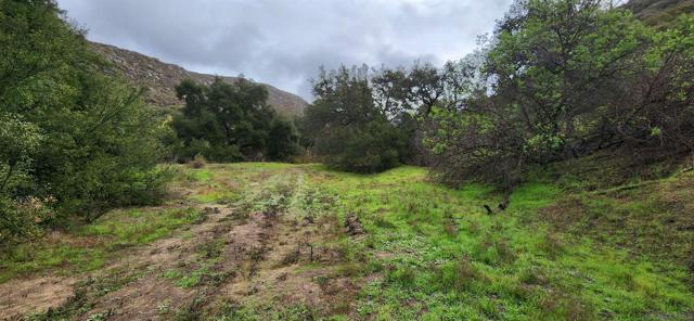 19832 Japatul Rd, Alpine CA: https://media.crmls.org/mediaz/2321698e-e3fa-4b55-9b12-80537ed1c57e.jpg