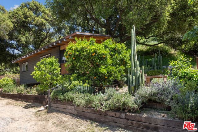 1256 N Topanga Canyon Boulevard, Topanga CA: https://media.crmls.org/mediaz/234d8d80-cede-4878-adc0-d8efacb07ed1.jpg