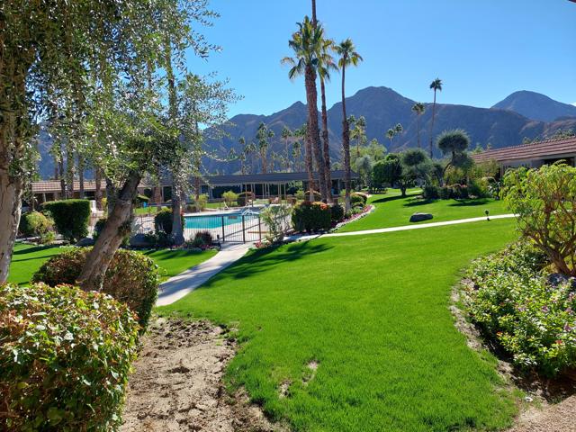 Image 8 of 22 For 76975 Roadrunner