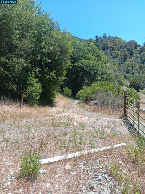 55855 Highway 101, Laytonville CA: https://media.crmls.org/mediaz/2352cb64-5cf3-406c-99aa-0864c03803d2.jpg