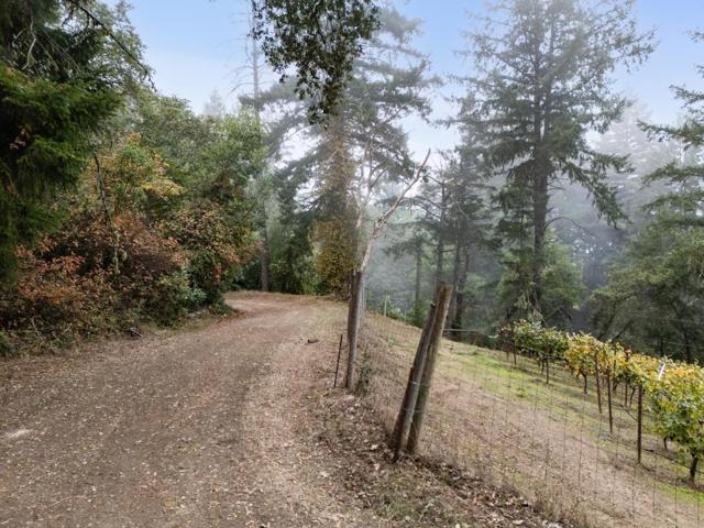 19089 Skyline Boulevard, Los Gatos CA: https://media.crmls.org/mediaz/2353a7d4-190f-4515-9e05-29651586c158.jpg