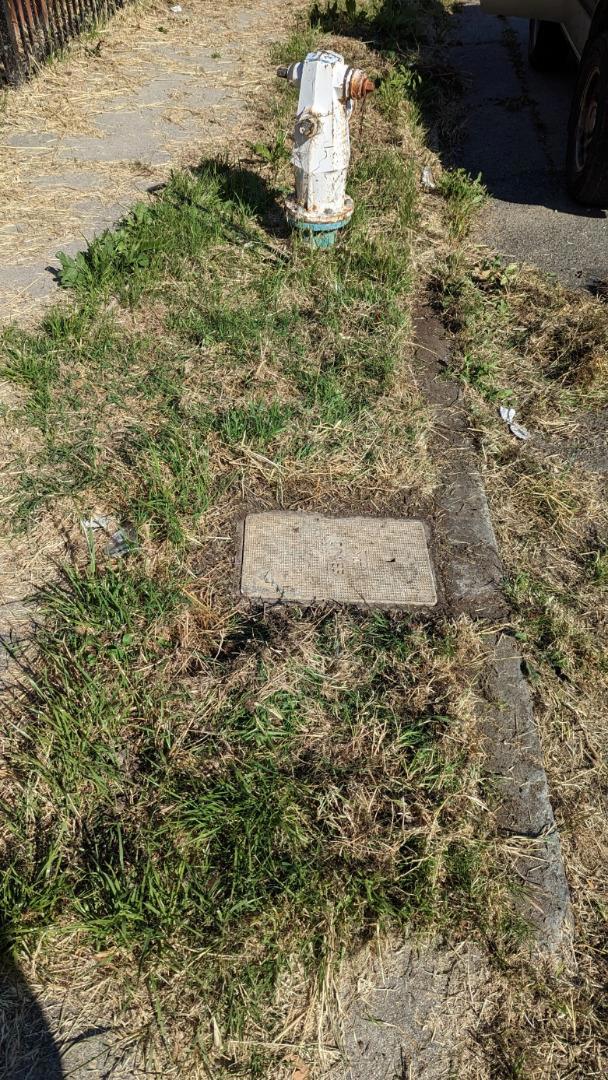 7106 Outlook Avenue, Oakland CA: https://media.crmls.org/mediaz/235ee97f-c2f9-40fa-ad5d-feb66610df59.jpg
