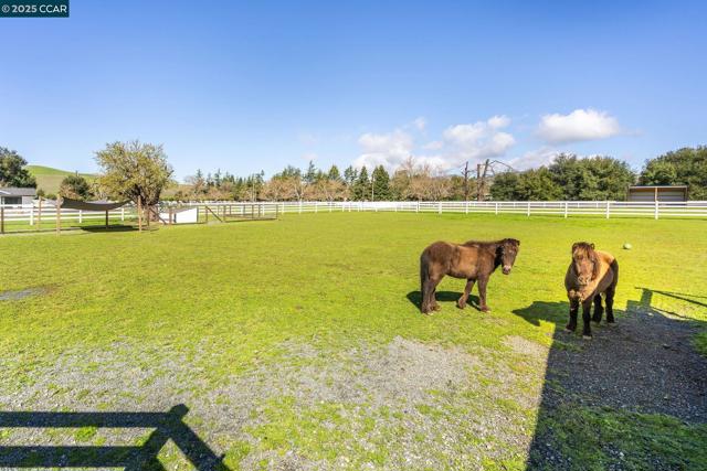 5400 Johnston Rd, Danville CA: https://media.crmls.org/mediaz/235faeef-4f2a-41c6-b14a-1cc0ca729508.jpg