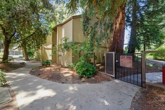 505 Cypress Point Drive, Mountain View CA: https://media.crmls.org/mediaz/2365108e-ed5b-4e97-bf62-f29a224ab10d.jpg
