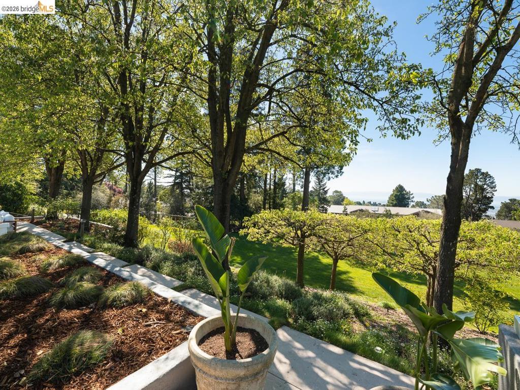 MLS #41129888 image #45