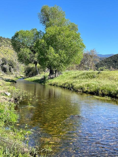 43023 Highway 79, Aguanga CA: https://media.crmls.org/mediaz/23775b8b-149d-45d7-a74f-d84d4096d734.jpg