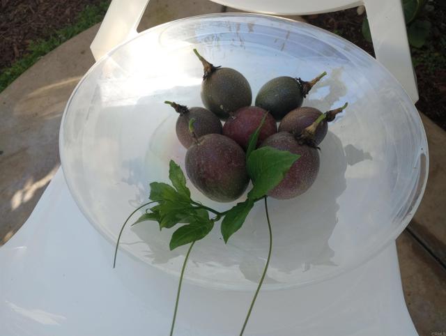 Detail Gallery Image 42 of 58 For 5544 Mill Creek Rd, San Diego,  CA 92130 - 4 Beds | 3 Baths