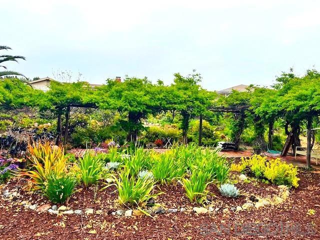 16731 Callado Ct, San Diego CA: https://media.crmls.org/mediaz/2382876b-714d-4017-8f91-4b5624391e99.jpg