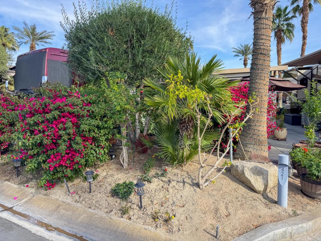 MLS #219125316DA image #19