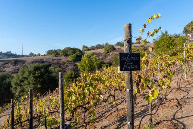 4141 Palomar Drive, Fallbrook CA: https://media.crmls.org/mediaz/238b2351-369e-45bd-82ad-7ff270b033ff.jpg