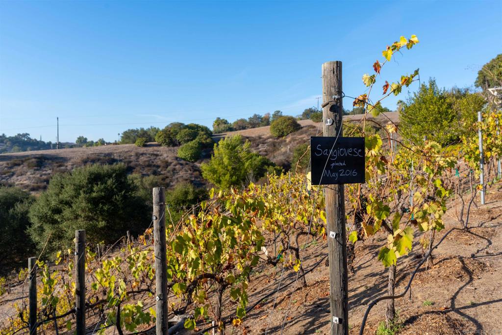 MLS #250044151SD image #56