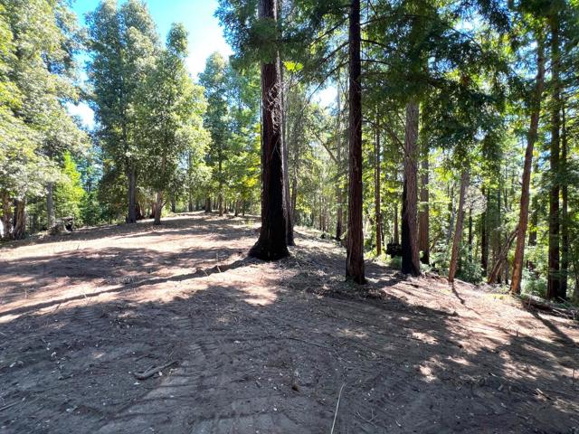 0 E Hilton, Boulder Creek CA: https://media.crmls.org/mediaz/23904c6f-c496-40e7-9011-aa30cd1e0489.jpg