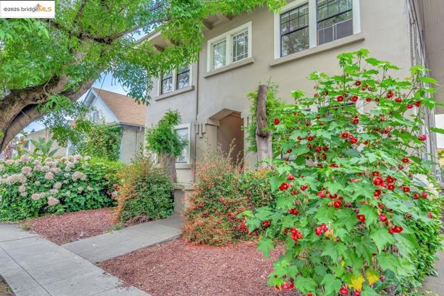 5537 Claremont Ave, Oakland CA: https://media.crmls.org/mediaz/2394937b-9ea8-45ae-b028-74fcda9419b8.jpg
