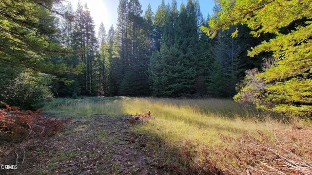 Detail Gallery Image 11 of 25 For 26030 Comptche Ukiah Rd, Comptche,  CA 95427 - – Beds | – Baths