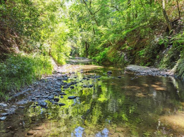 200 Shady Lane, Boulder Creek CA: https://media.crmls.org/mediaz/239fb018-5d3d-4106-99d9-481f4dd853df.jpg
