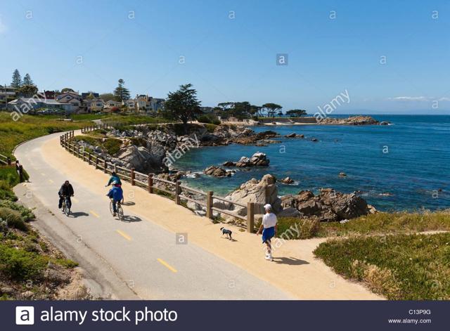 621 Mcclellan Avenue, Monterey CA: https://media.crmls.org/mediaz/23abe01c-a55e-41cc-95cc-355afac65f75.jpg