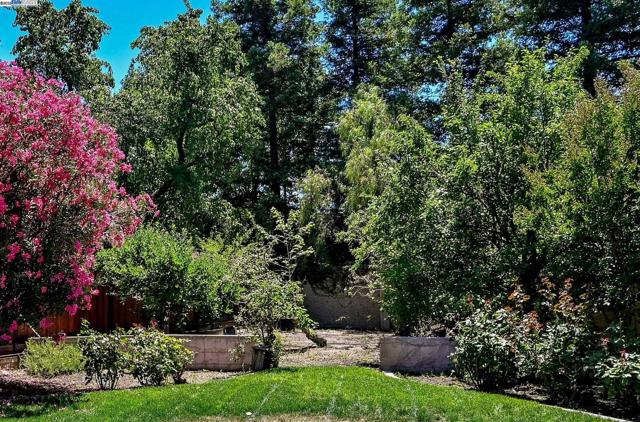 96 Trixie Dr, Livermore CA: https://media.crmls.org/mediaz/23ac2ea0-96c3-4472-98f9-d2f62d05f052.jpg