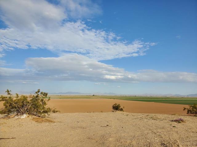 image_6483441 (2)