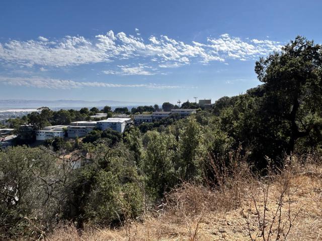 0 Winding Way, San Carlos CA: https://media.crmls.org/mediaz/23ba080c-078f-44a2-ae65-b9f04f4eaca5.jpg