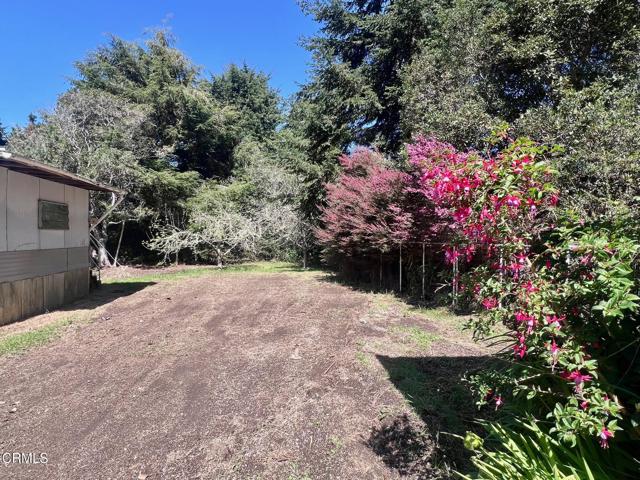 Detail Gallery Image 43 of 65 For 18751 Sears Ln, Fort Bragg,  CA 95437 - 2 Beds | 2 Baths