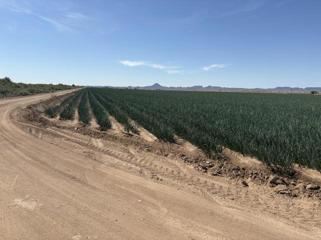 Image 1 of 17 For 187 Water Toll Acres On Ben Hulse Highway