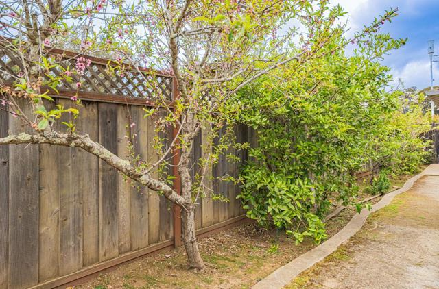 29 Karen Drive, Watsonville CA: https://media.crmls.org/mediaz/23c0e684-57f9-4447-abea-6f435f9ba412.jpg
