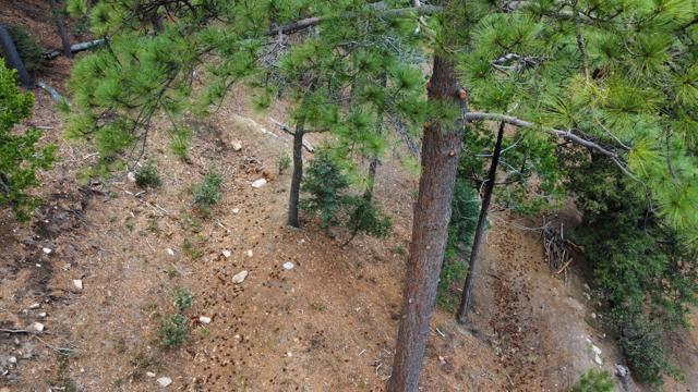 0 Green Craig, Idyllwild CA: https://media.crmls.org/mediaz/23c64aab-3c8e-4b5c-85a1-37b9cbabbf39.jpg