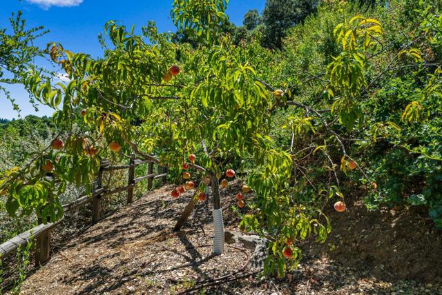 Image 85 of 104 For 15651 Kennedy Road