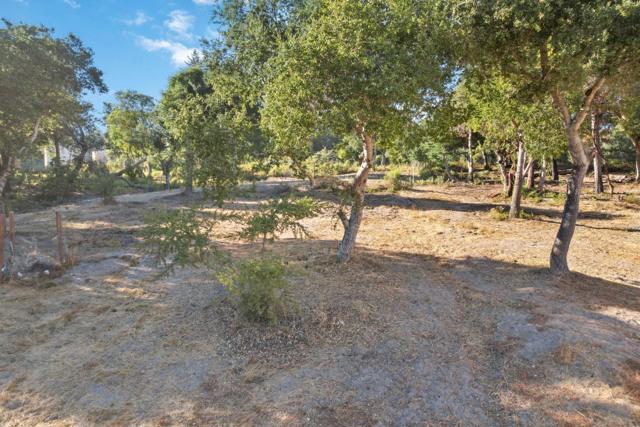10200 West Drive, Felton CA: https://media.crmls.org/mediaz/23dab491-0382-46d9-b8c5-570ae17447d1.jpg