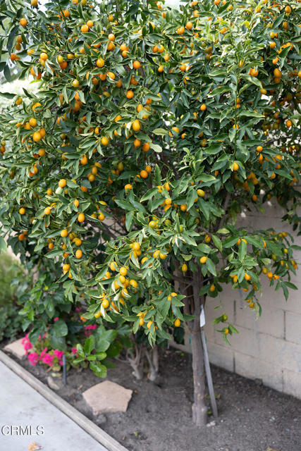 Detail Gallery Image 46 of 72 For 2506 Weston Pl, Glendale,  CA 91208 - 3 Beds | 2 Baths