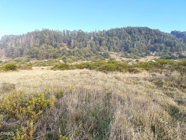 Detail Gallery Image 4 of 9 For 40101 California 1, Westport,  CA 95488 - – Beds | – Baths