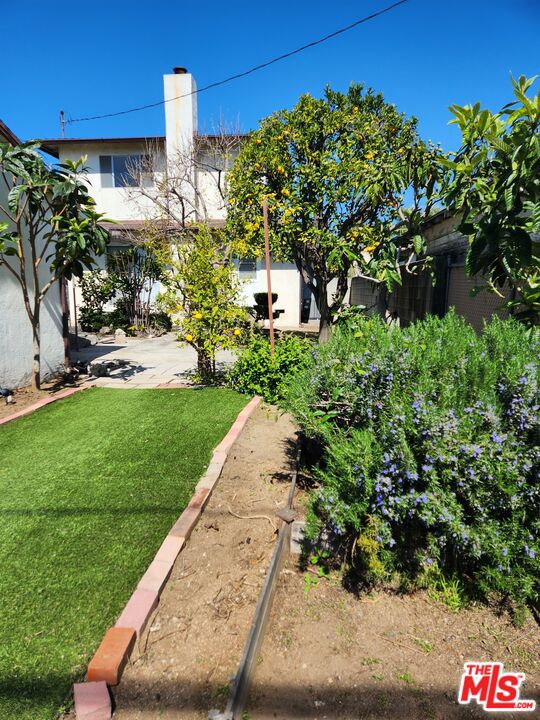1703 Amherst Avenue, Los Angeles CA: https://media.crmls.org/mediaz/23f0fb2b-9257-4dde-a9a9-7bf2f79c70b6.jpg