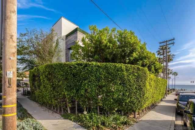 165 Pine Ave, Carlsbad CA: https://media.crmls.org/mediaz/23f1c05c-c96c-4b22-a7dc-57c402796058.jpg